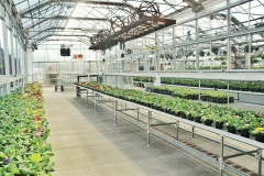 greenhouse-3247271_1920